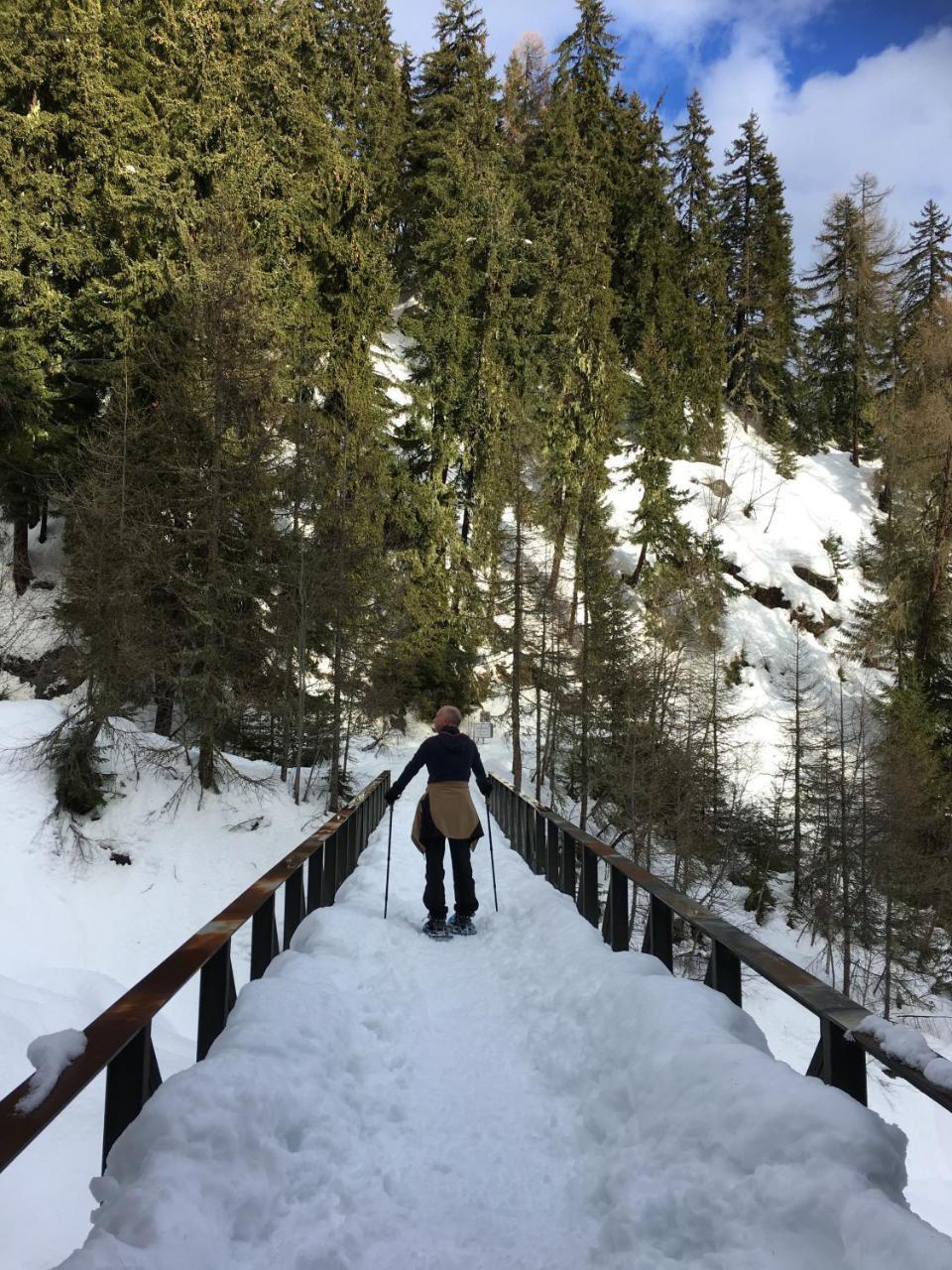 Chalet Ariane Блатен бей Натерс Екстериор снимка