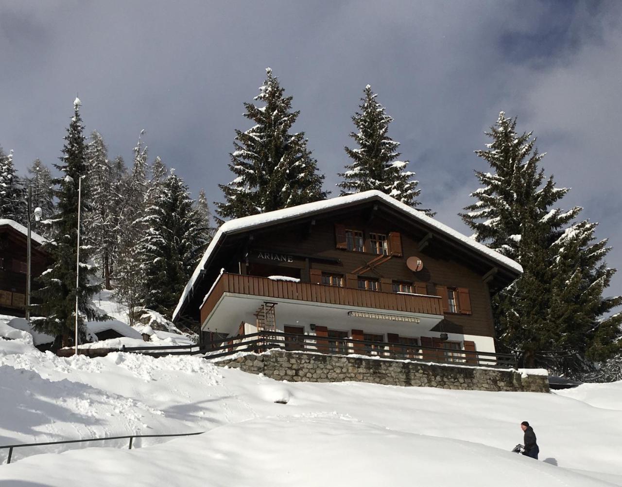 Chalet Ariane Блатен бей Натерс Екстериор снимка